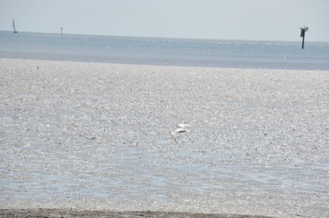 d120825k_0652.jpg