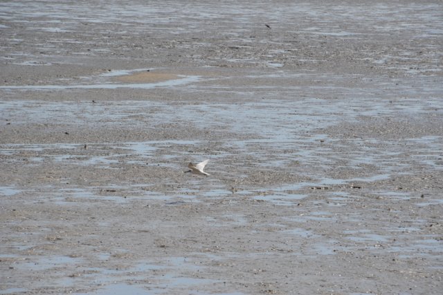 d120825k_0658.jpg