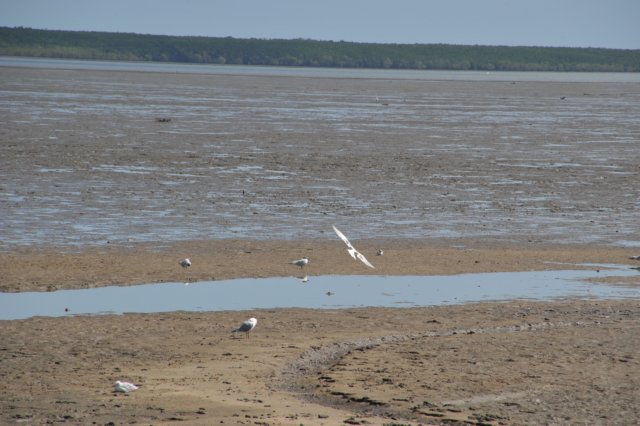 d120825k_0664.jpg