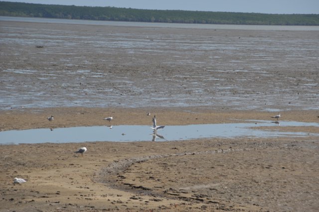 d120825k_0669.jpg