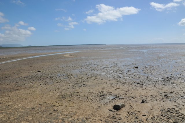 d120825k_0684.jpg
