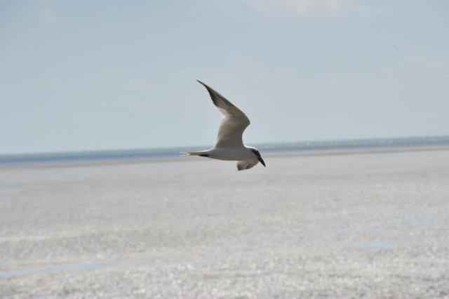d120825k_0726.jpg