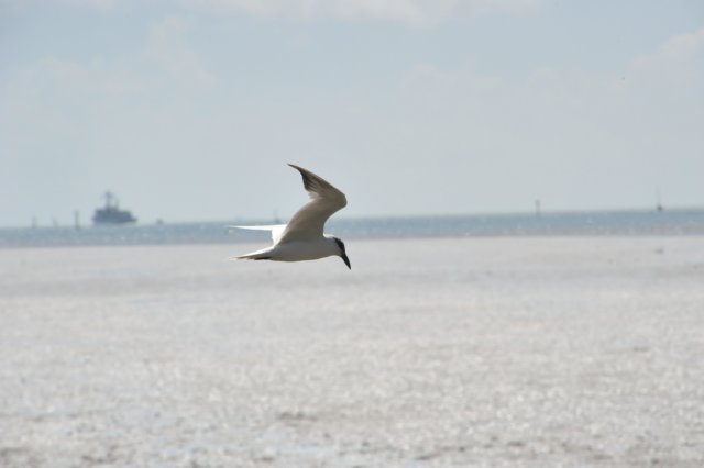 d120825k_0729.jpg