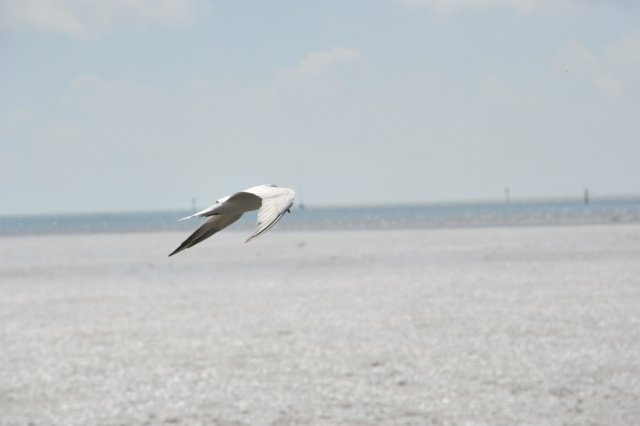 d120825k_0730.jpg