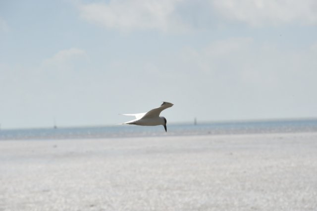 d120825k_0731.jpg