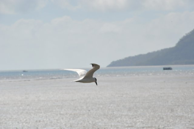 d120825k_0734.jpg