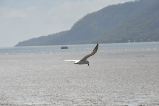 d120825k_0736.jpg