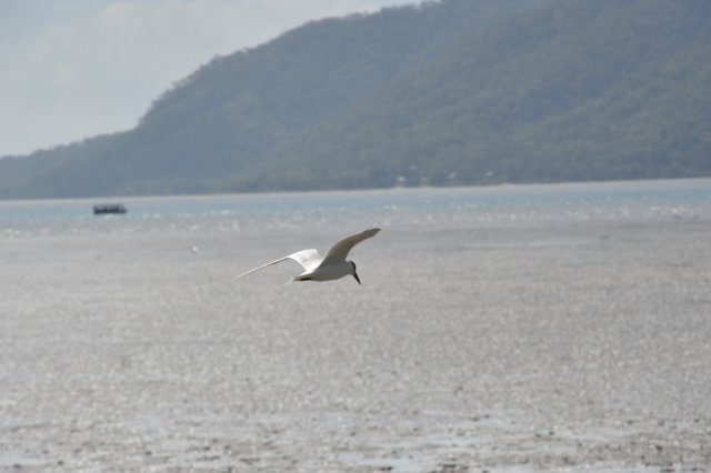 d120825k_0737.jpg