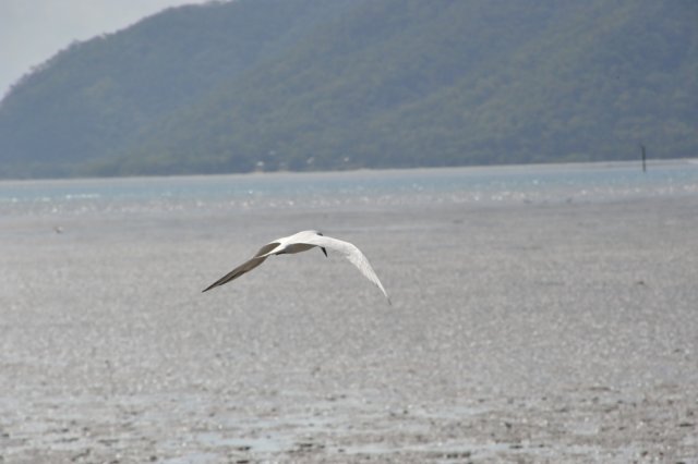 d120825k_0738.jpg