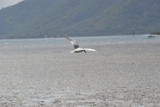 d120825k_0739.jpg