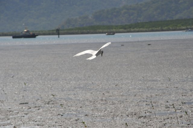 d120825k_0743.jpg