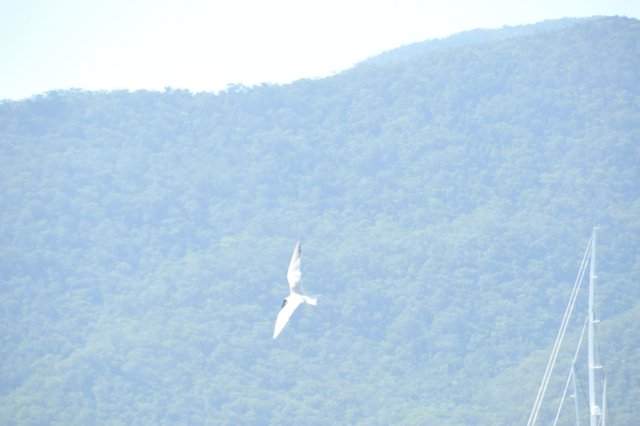d120825k_0766.jpg