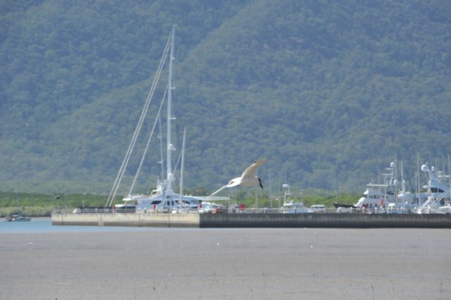 d120825k_0794.jpg