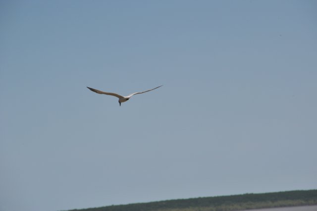 d120825k_0995.jpg