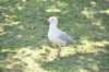 d120825k_1009_small.jpg