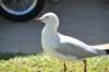 d120825k_1012_small.jpg