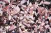 d120825k_1014_small.jpg