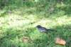 d120825k_1030_small.jpg
