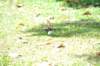 d120825k_1042_small.jpg