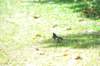 d120825k_1043_small.jpg