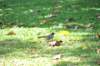 d120825k_1045_small.jpg