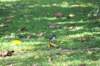 d120825k_1054_small.jpg
