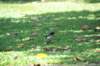 d120825k_1062_small.jpg