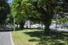 d120825k_1069_small.jpg