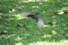d120825k_1070_small.jpg