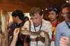 d120826k_0188_small.jpg