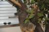 d120826k_0341_small.jpg
