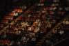d120827k_0096_small.jpg