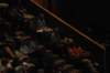 d120827k_0118_small.jpg