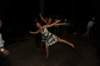 d120829k_0911_small.jpg