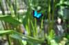 d120829k_0184_small.jpg