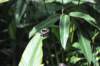 d120829k_0197_small.jpg
