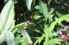 d120829k_0198_small.jpg