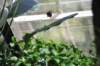 d120829k_0202_small.jpg