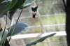 d120829k_0203_small.jpg