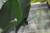 d120829k_0204_small.jpg