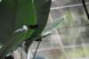 d120829k_0205_small.jpg