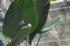 d120829k_0206_small.jpg