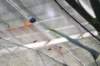 d120829k_0209_small.jpg