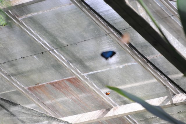 d120829k_0210.jpg