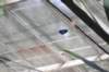 d120829k_0210_small.jpg