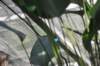 d120829k_0211_small.jpg