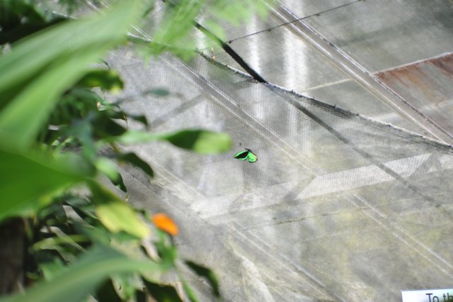d120829k_0214.jpg