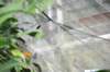 d120829k_0215_small.jpg