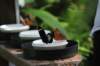 d120829k_0216_small.jpg