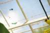 d120829k_0220_small.jpg